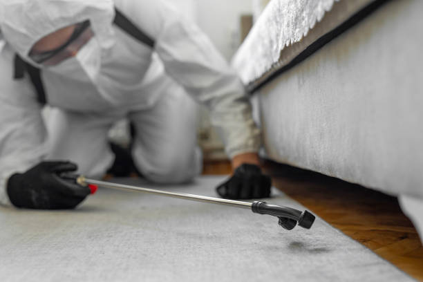 Professional Termite Control technician working in Mount Arlington, NJ